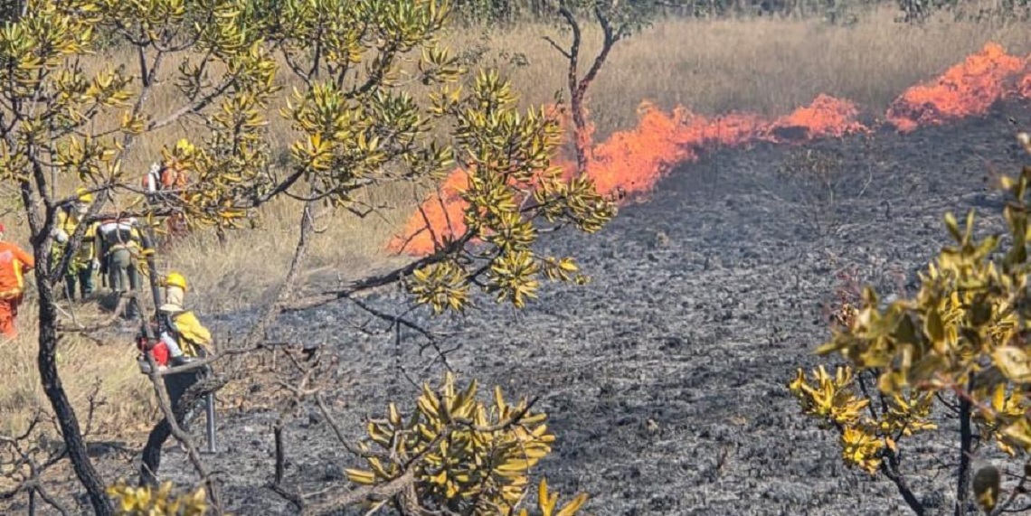 Minas registra 130 incêndios em vegetação por dia em agosto