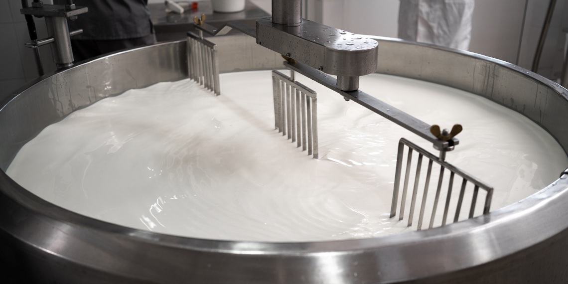 Paraná autoriza venda de queijo artesanal de leite cru