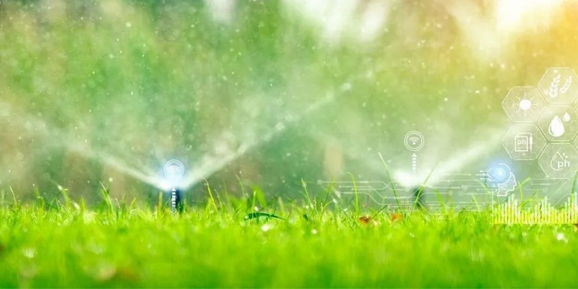 Irã integra dados agrícolas e hídricos para melhorar uso da água