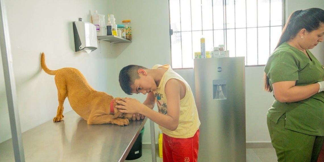 Ciudad del Este regulamenta valores sociais na Clínica Veterinária